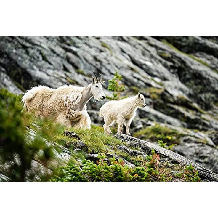 Sigma 150-600mm f5-6,3 DG DN OS (S) Sony E-Mount – Bild 2