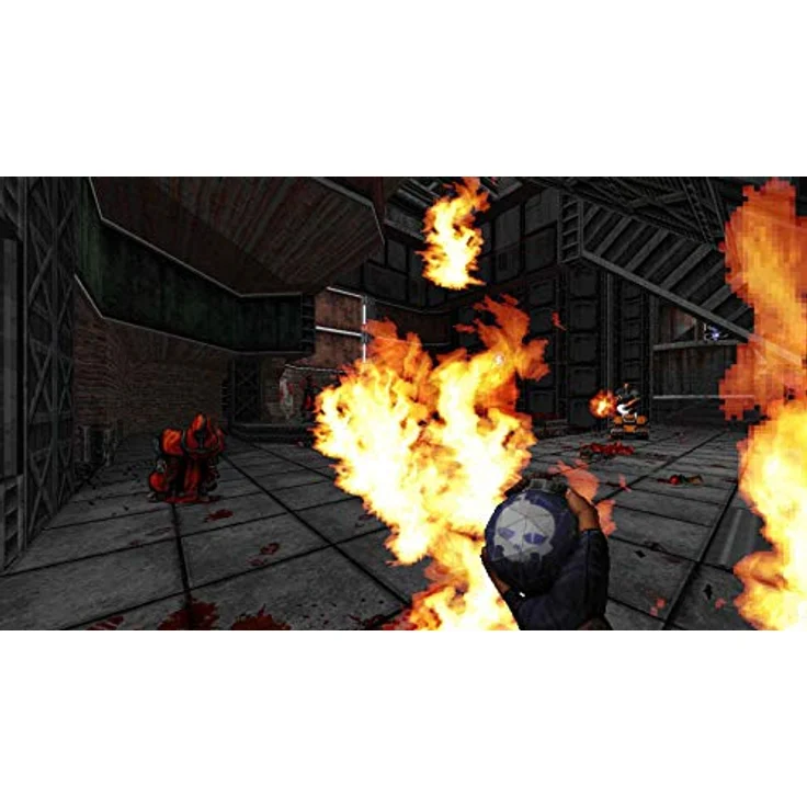 Ion Fury (PS4) – Bild 2