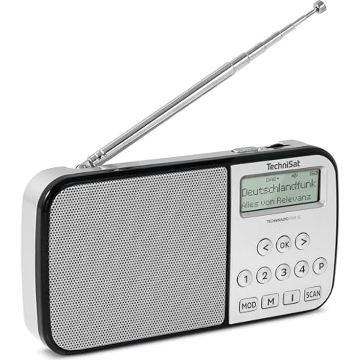 TechniSat TechniRadio RDR XL tragbares Radio silber, DAB+/UKW, Bluetooth-Audiostreaming, 6 Stunden Akkulaufzeit