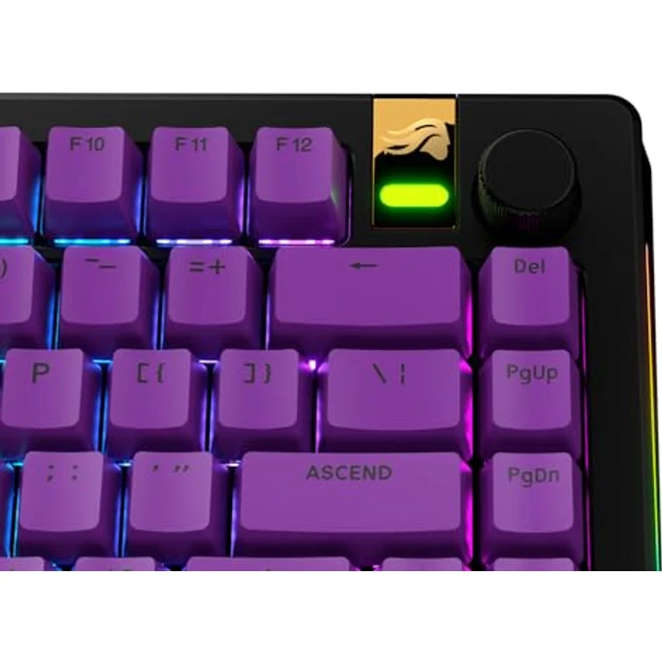 Glorious GPBT Basics Keycaps, ANSI Layout (US), PBT, Doubleshot - Epic Purple – Bild 7