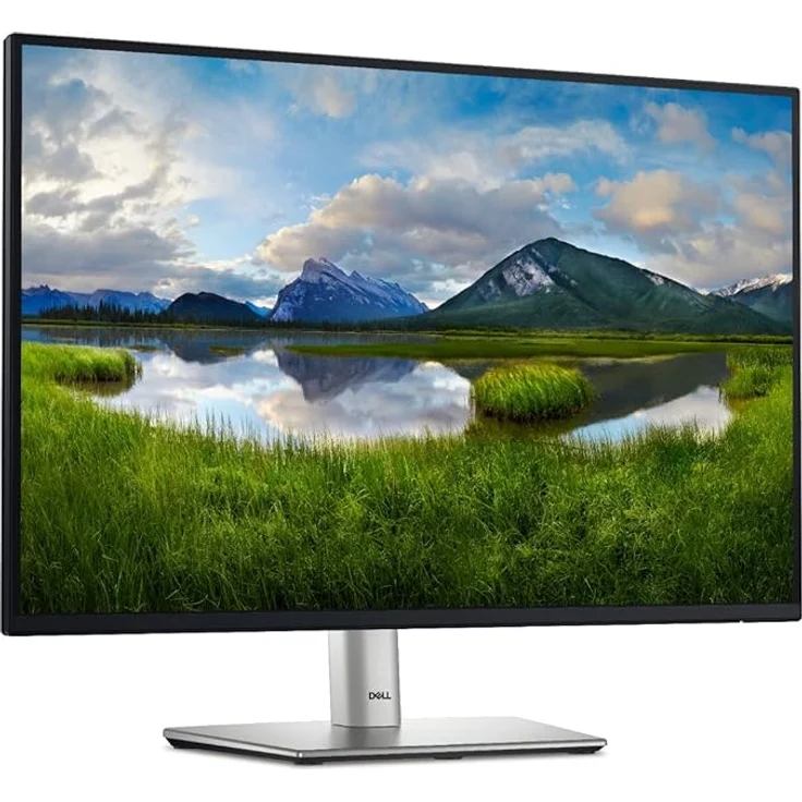 Dell P2425 – Bild 1