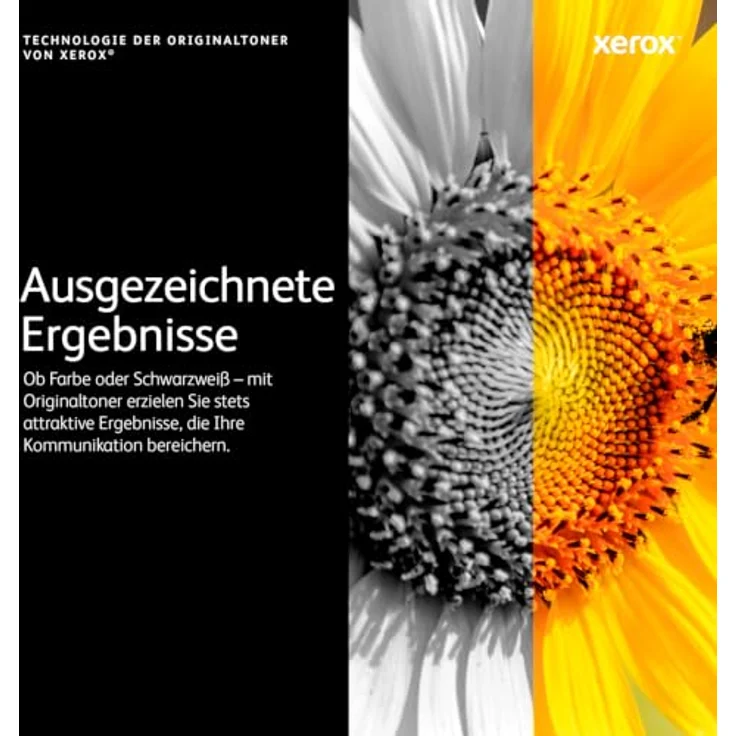 Xerox Toner 108R01417 (C) für optimale Druckqualität und höchste Zuverlässigkeit, cyan – Bild 9