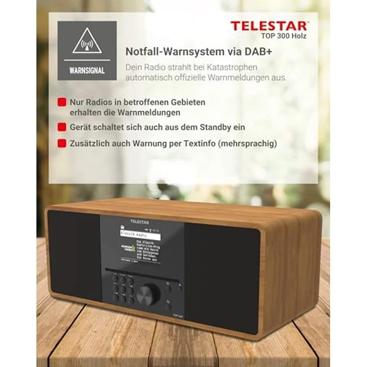 Telestar Top 300, Internetradio mit DAB+, FM, Bluetooth 5.3, WLAN und CD-Player, Braun – Bild 12