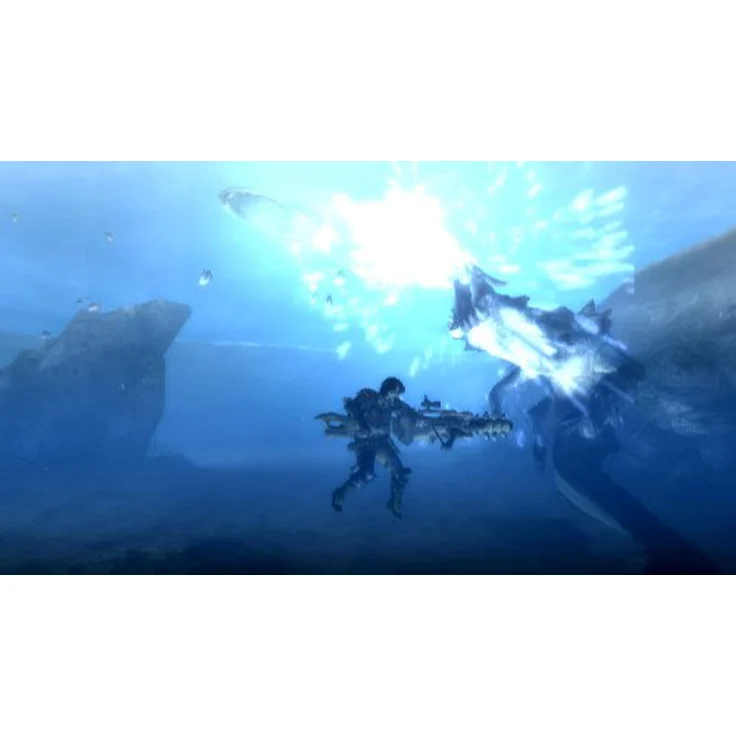 Monster Hunter Tri (Wii) – Bild 4
