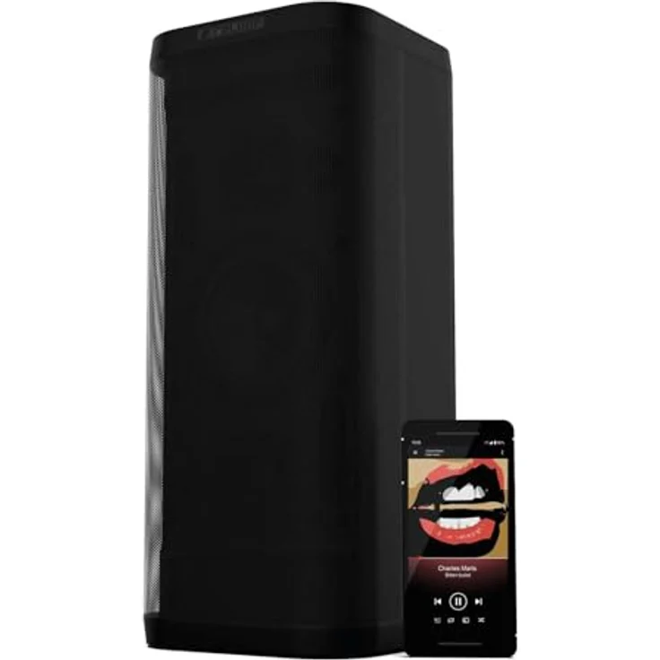 Reloop Groove Blaster BT Lautsprecher AUX, NFC, USB Schwarz - Preisvergleich – Bild 4