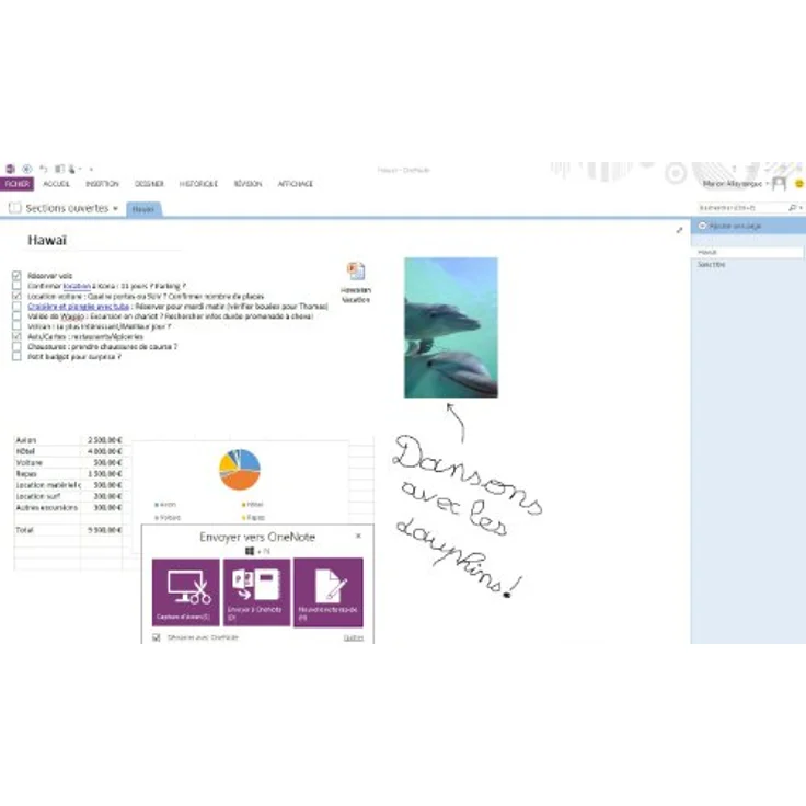 Microsoft Office Home and Business 2013 - 1PC (Product Key Card ohne Datenträger) - französisch, Büro-Softwarepaket mit Microsoft Excel, Outlook, Powerpoint, Word, OneNote - Windows, Europa (Microsoft) – Bild 4