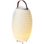 Kooduu Synergy 65 - Tragbarer Bluetooth-Lautsprecher, dimmbares LED-Lampe und Weinkühler - Musik und Licht für den Innen- und Außenbereich, wie Partys, Dinner und Feiern Aller Art