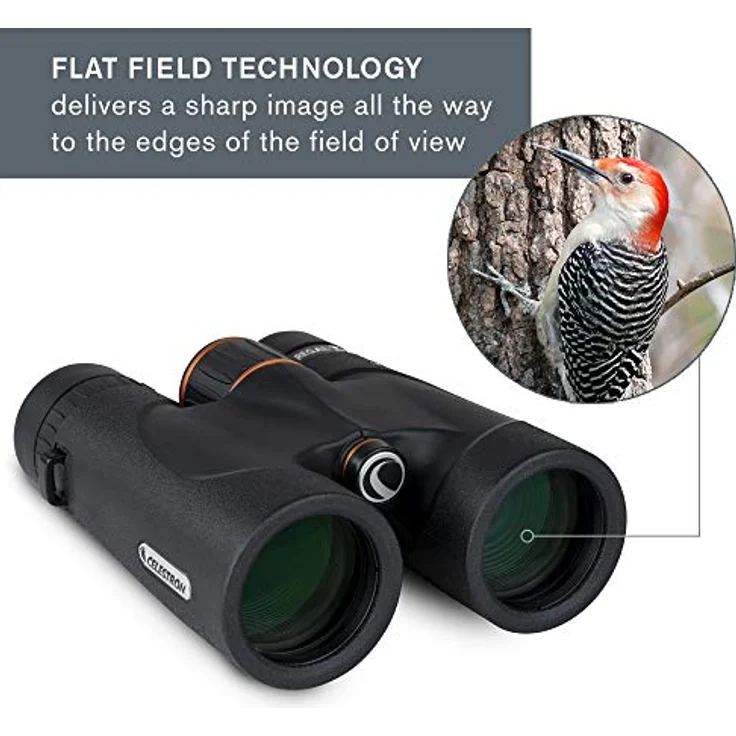 Celestron 71390 Regal ED 8x42 Fernglas für Natur- und Vogelbeobachtungen, phasen- und dielektrisch beschichtete BaK-4-Prismen, vollvergütete Linsen, Nahfokus von 2,5 m – Bild 4