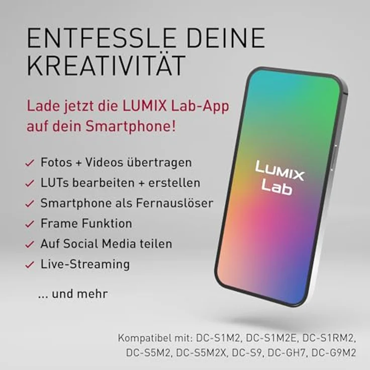 Panasonic Lumix DC-S9, Vollformat Systemkamera 24 MP mit 28-200 mm Objektiv, Jet Black – Bild 10