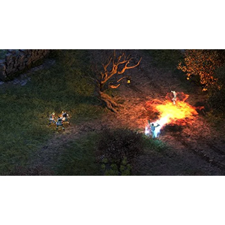 Pillars of Eternity (Sonderedition) (PC) – Bild 5