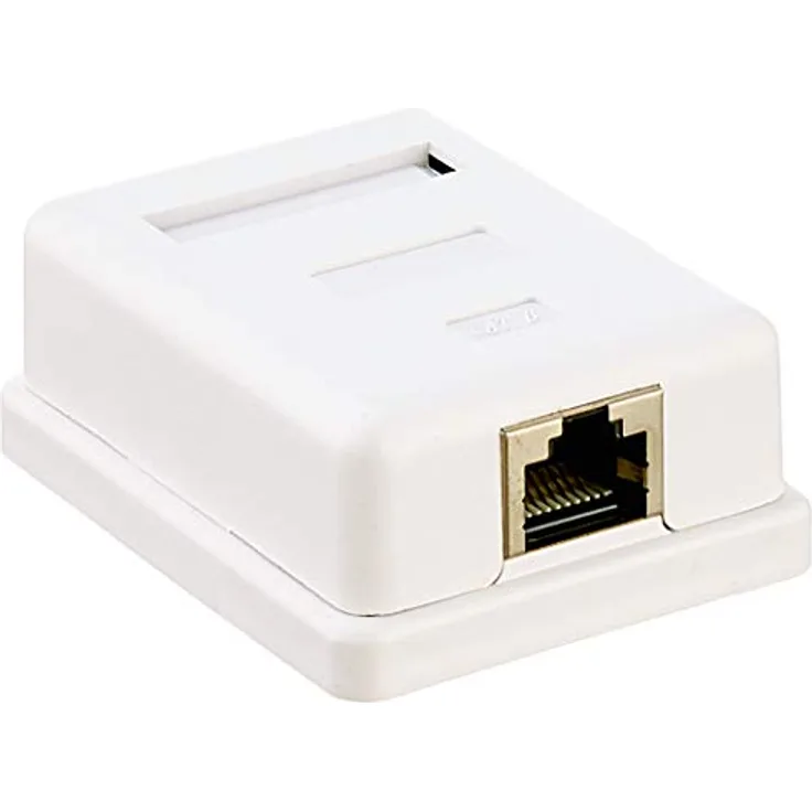 Delock 86169 Netzwerkdose Aufputz, CAT 6, 1 Port, Gerätemontage mit Zentralplatte und Rahmen, Weiß