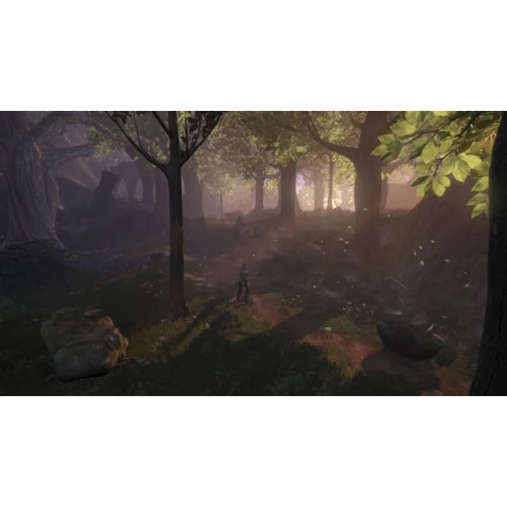 Fable 2 (Xbox 360) - Preisvergleich – Bild 5