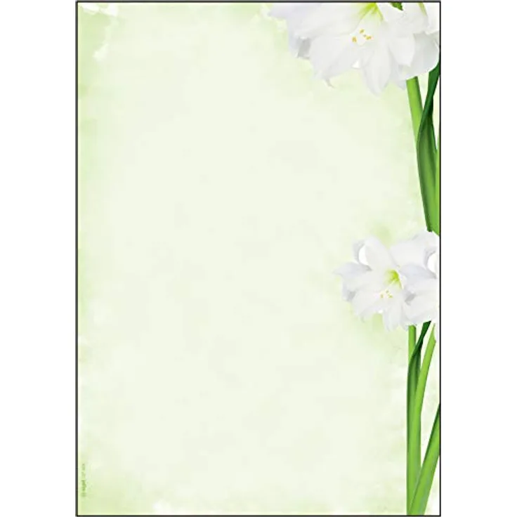 SIGEL DP463 Motiv-Papier "Green Flower", Briefpapier 90 g DIN A4, 25 Blatt