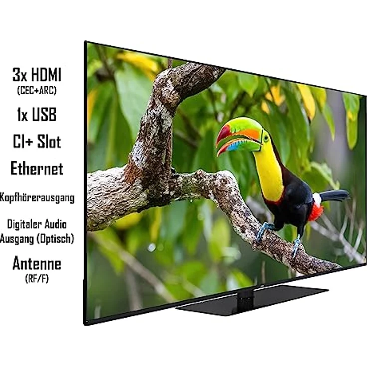 JVC LT-65VU6355 65 Zoll Fernseher / Smart TV (4K Ultra HD, HDR Dolby Vision, Triple-Tuner, Bluetooth, Dolby Atmos) [2023] – Bild 2