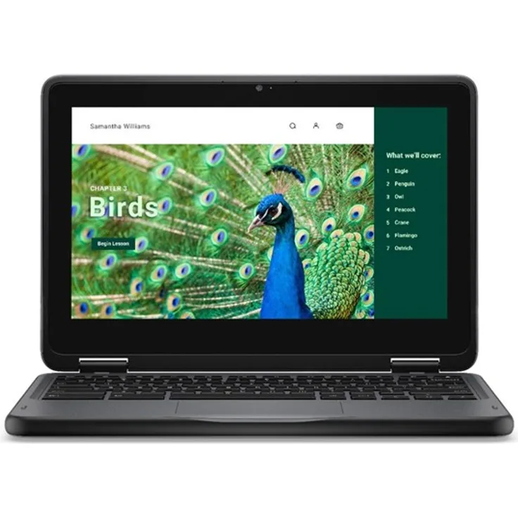 Dell Chromebook 3120 2in1 (2024), Flip-Design, Intel N100, 4 GB RAM, 64 GB eMMC, 11.6 Zoll IPS Touchscreen, Schwarz, mit 1 Jahr Basis Vor-Ort