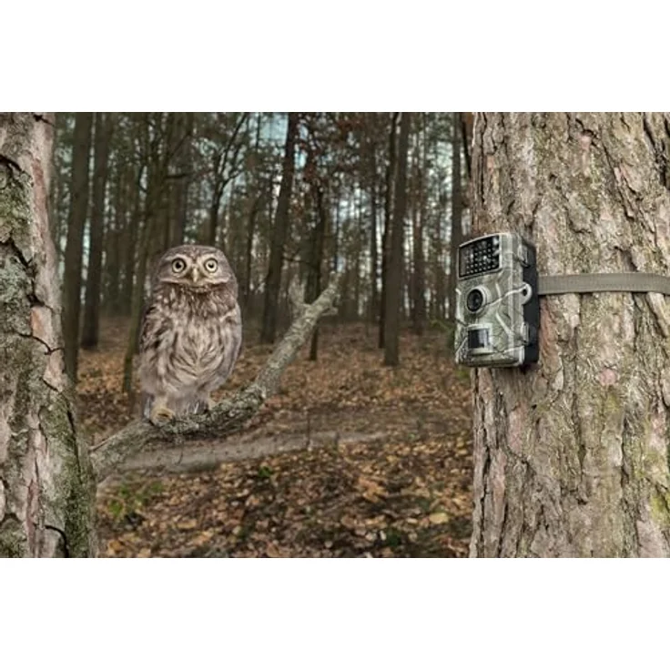 Technaxx Technaxx TX-256 Wildcam Überwachungskamera Wildkamera (privater Haushalt) – Bild 4