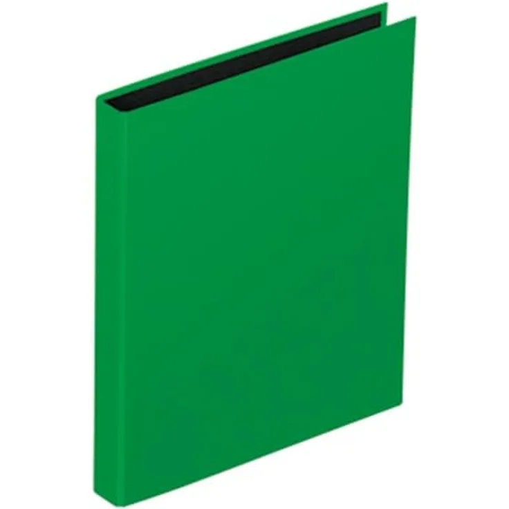 PAGNA Ringbuch Basic Colours Präsentationsordner, A4, 2-Ring-Mechanik, 25 mm, Grün