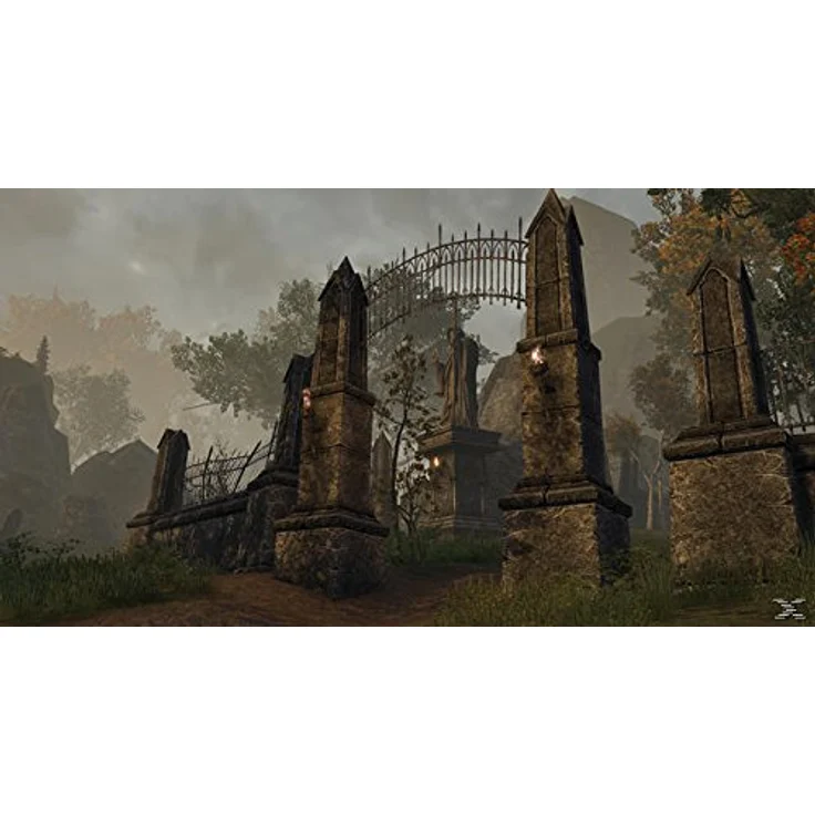 The Elder Scrolls Online: Tamriel Unlimited (Day One Edition) (PC) – Bild 4