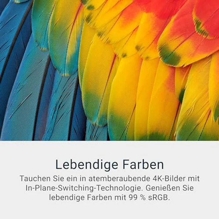 DELL B2B S2725QS 27 Zoll UHD 4K Monitor mit 120 Hz und 8 ms Reaktionszeit – Bild 2