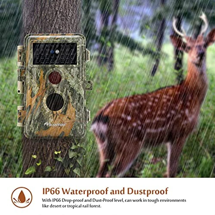 BlazeVideo 32MP Wildkamera Nachtsichtkamera Wildtier Kamera mit 1296P H.264 MPV Video, Bewegungmelder Nachtsicht Zeittraffer, IP66 Wasserdicht und 2,4" Bildschirm – Bild 3