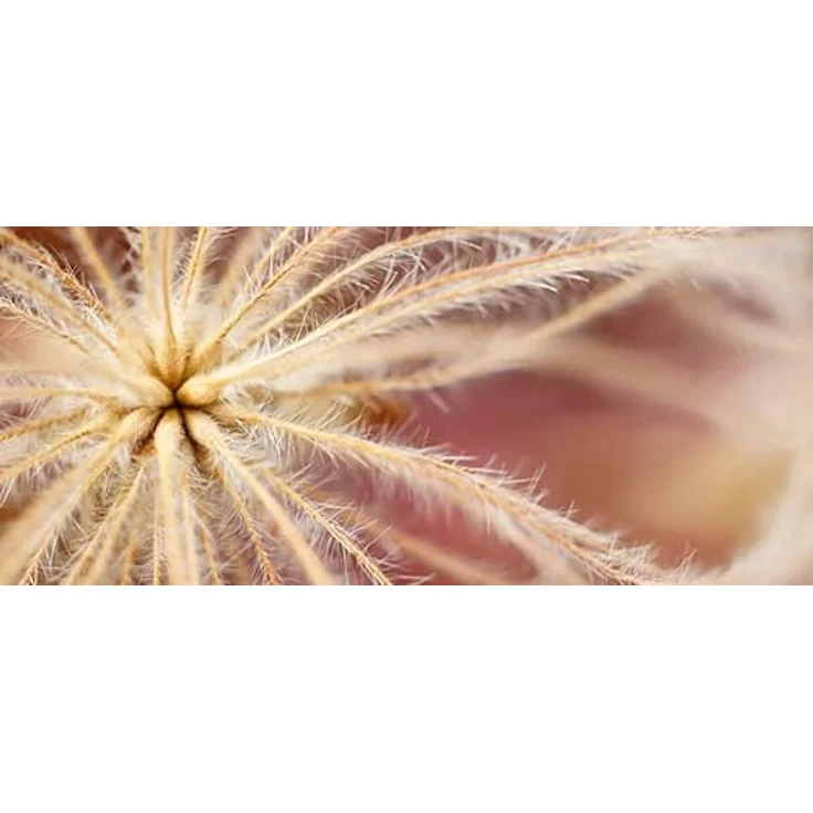 Sony SEL-30M35 Makro-Objektiv (Festbrennweite, 30 mm, F3.5, APS-C, geeignet für A6000, A5100, A5000 und Nex Serien, E-Mount) silber – Bild 4