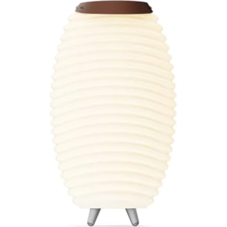 Kooduu Synergy 50, Bluetooth-Lautsprecher mit LED-Lampe und integriertem Getränkekühler, tragbar mit 10 Stunden Akkulaufzeit – Bild 2