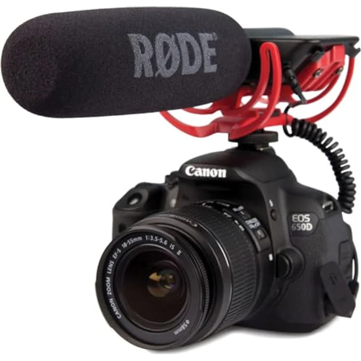 Rode Rycote Edition VideoMic (Line Gradient, Polar Pattern) – Bild 5