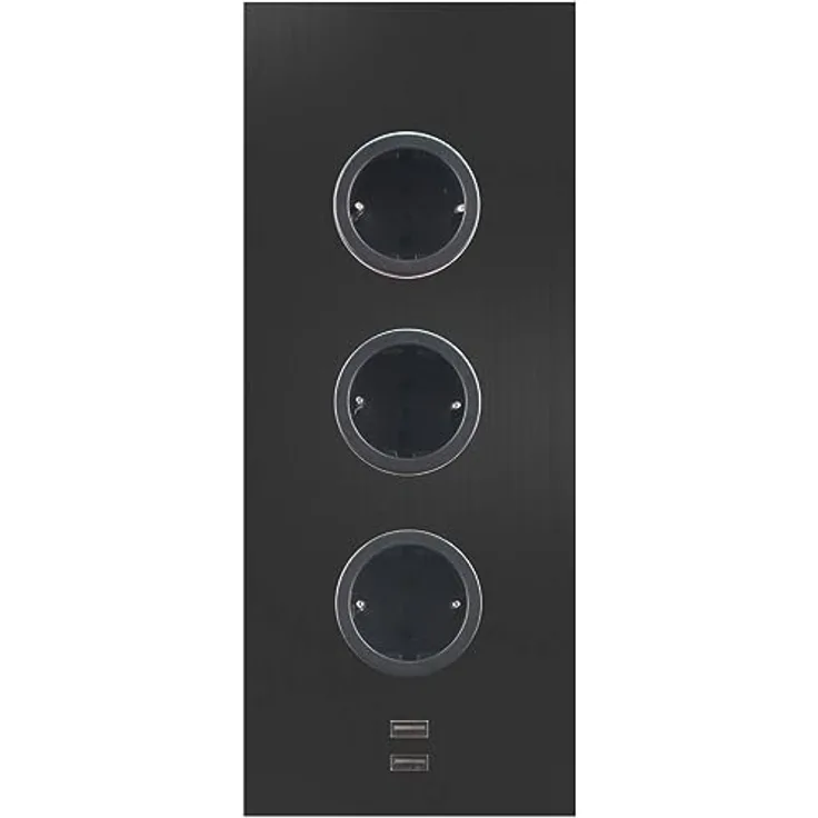 CARESSI Steckdosenelement 3ST29 3 Schukosteckdosen 2 USB-Charger schwarz, vertikale Montage, USB-Ladebuchsen, zeitloses Design