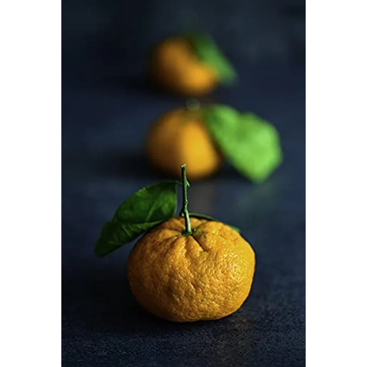 Nikon Z MC 105 mm 1:2,8 VR S schwarz – Bild 4