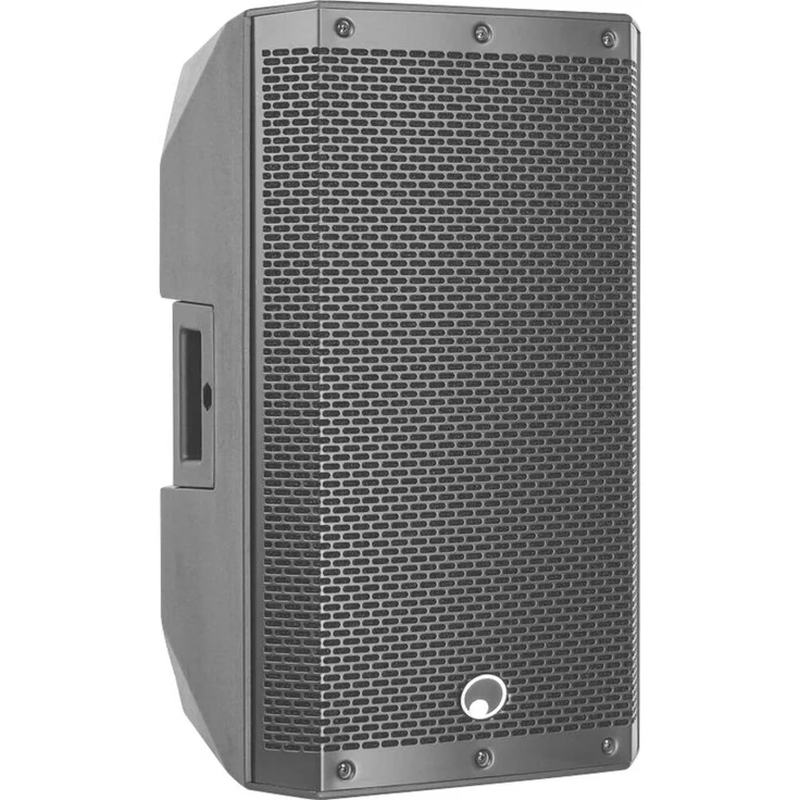 Omnitronic XNG-210, Passiver PA Lautsprecher mit 10 Zoll Woofer, 250W RMS, schwarz, für mobilen Einsatz und Monitoring