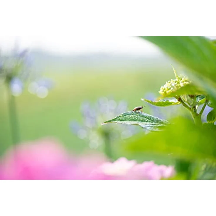 TAMRON 70-300mm F/4.5-6.3 Di III RXD, Objektiv für Nikon Z, A047 – Bild 4