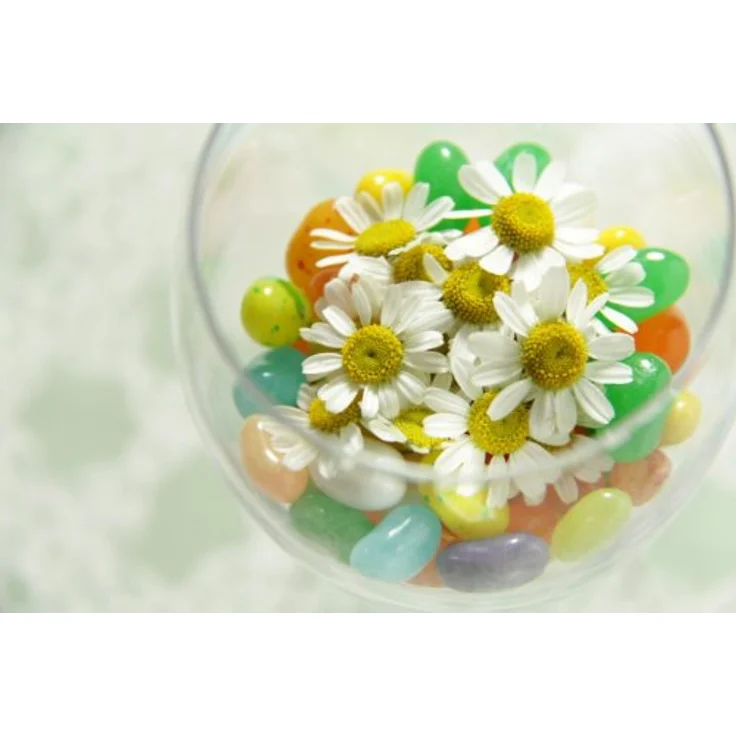 Canon Zoomobjektiv EF-S 18-200mm F3.5-5.6 IS für EOS (72mm Filtergewinde, Bildstabilisator, Autofokus) schwarz – Bild 4