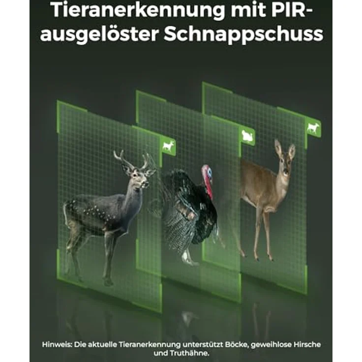 Reolink Wildkamera 4K 8MP 3G/4G LTE mit 360º Rundumsicht, No-Glow, Tiererkennung, 355°/90° Schwenk, 2-Weg-Audio (Außenbereich, 1-tlg.) – Bild 5