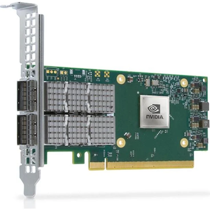 NVIDIA ConnectX-6 Dx EN Adapterkarte 100GbE (PCI Express 4.0 x16), Netzwerkkarte mit Hardwarebeschleunigung, Grau/Grün