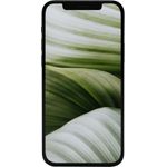 #GOECO iPhone 12 mini refurbished 128 GB 5G, 5.4" OLED, 12 MP Dual Kamera, Dual Sim, Schwarz