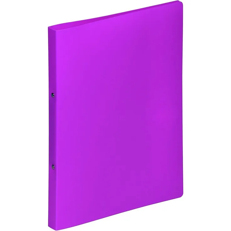 PAGNA Ringbuch Lucy Colours Präsentationsordner, 2-Ring-Mechanik, Format A4, transluzent dunkelrosa