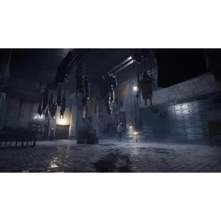 PM STUDIOS Lies of P (Complete Edition) - Nintendo Switch, inklusive Overture Erweiterung, optimiert für Switch 2, Bonus-Kostüme und Lore-Sammelkarten – Bild 17