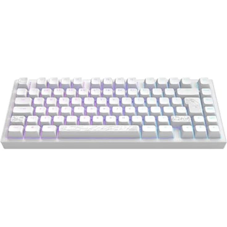 Dark Project ALU81A Terra Nostra, Mechanische Gaming-Tastatur mit G3MS Moonstone Schaltern, Aluminium Gehäuse, Hot-Swap, Flex Gasket Mount, ISO Multi, 75%, RGB