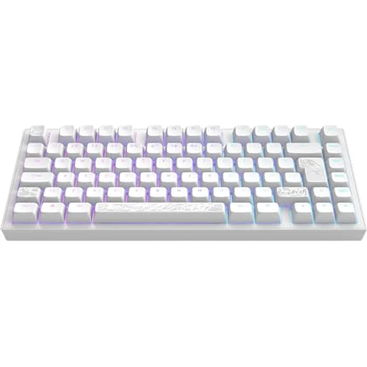 Dark Project ALU81A Terra Nostra, Mechanische Gaming-Tastatur mit G3MS Moonstone Schaltern, Aluminium Gehäuse, Hot-Swap, Flex Gasket Mount, ISO Multi, 75%, RGB – Bild 1