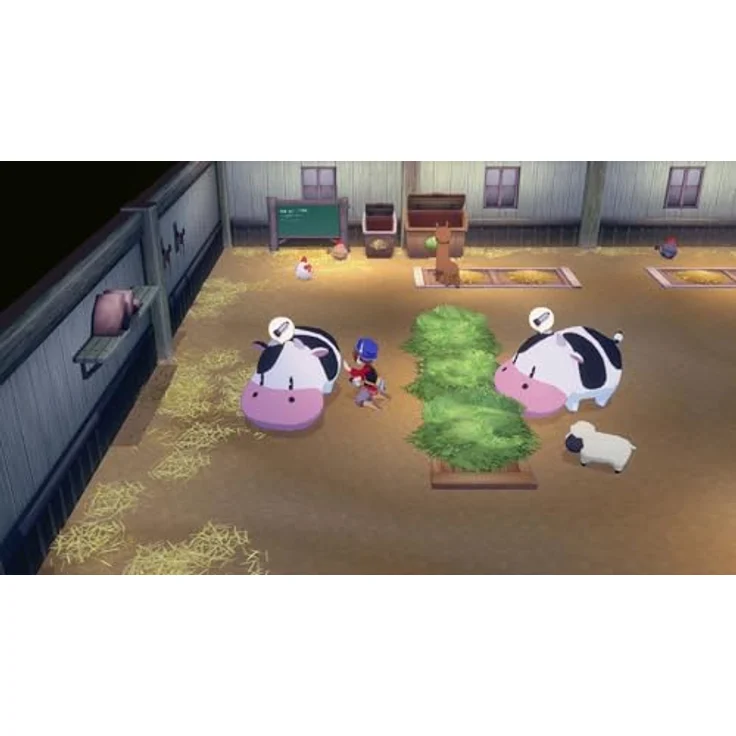 Marvelous Europe Story of Seasons: Grand Bazaar - Nintendo Switch, Bauernhof-Simulation mit wöchentlichem Bazaar, Tierpflege und Charakterinteraktionen – Bild 2