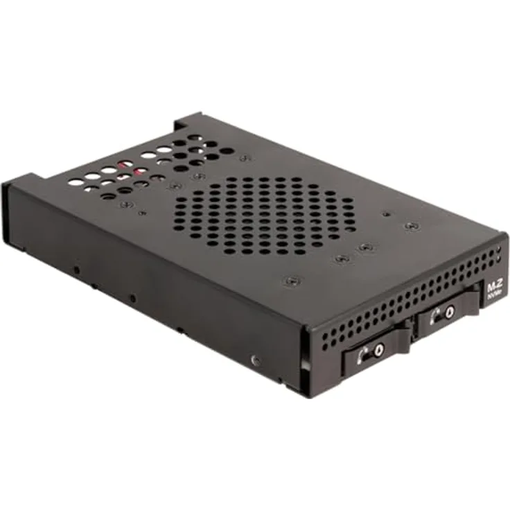 Delock 3.5" Wechselrahmen für 2x M.2 NVMe SSD SFF-8612, stabiler Metallrahmen mit Schlüsselschloss und Vibrationsdämpfung