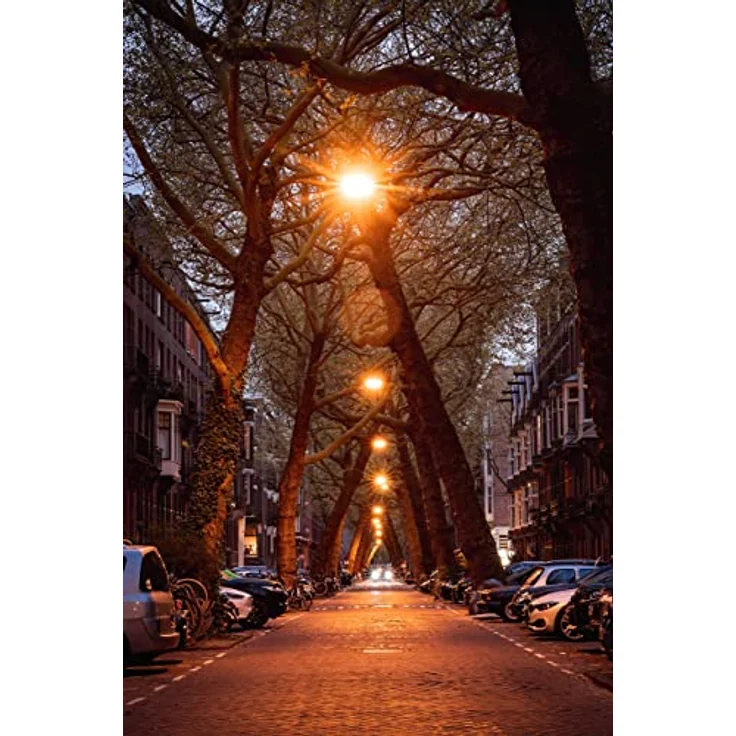 Samyang MF 85mm F1,4 MK2 Fuji X ? Porträt Objektiv manueller Fokus für Vollformat und APS-C Festbrennweite Fuji X Mount, 2. Generation für Fujifilm X-T1, X-T3, X-H1, X-T30, X-Pro3, X-T200, X-T4 – Bild 2