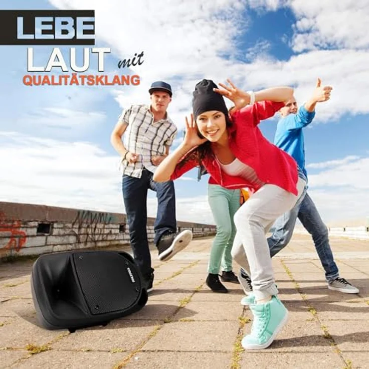 Pyle PSBT85A, Tragbare Karaoke Maschine mit 800 Watt, 20 cm Subwoofer und Bluetooth, schwarz – Bild 6