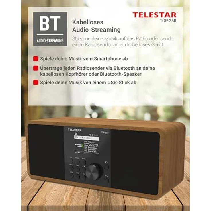 Telestar TOP 250, Internetradio mit DAB+, FM, Bluetooth 5.3, WLAN, braun – Bild 9