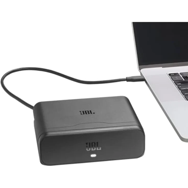 JBL Akku 600 Duo, Wechselakku mit Ladehülle und USB-C Powerbank für PartyBox 720 – Bild 2