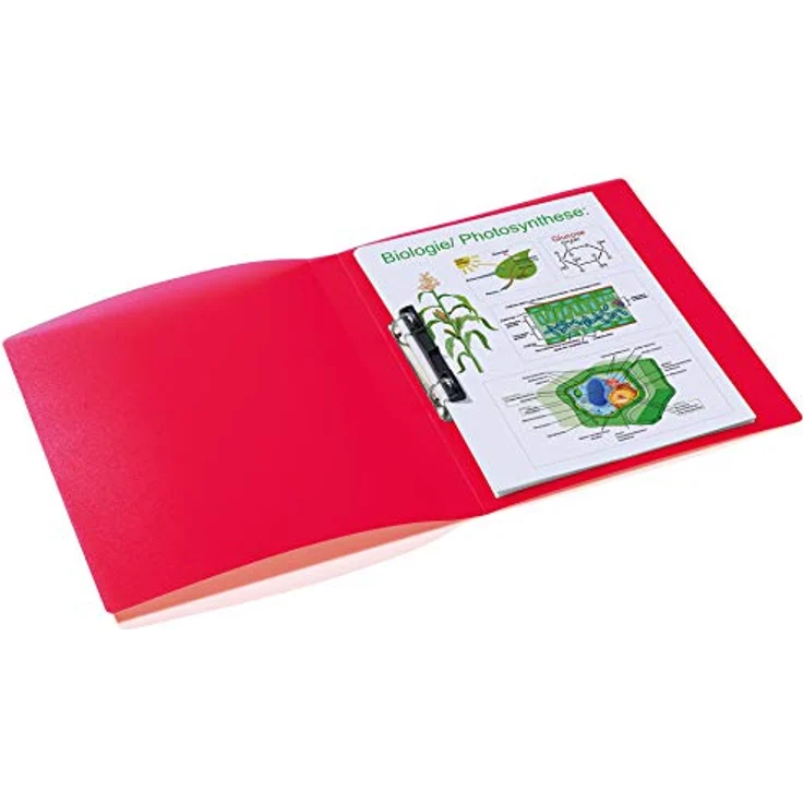HERMA Präsentationsordner, Ringbuch aus Polypropylen, D-Ring-Mechanik, verschiedene Farben – Bild 5