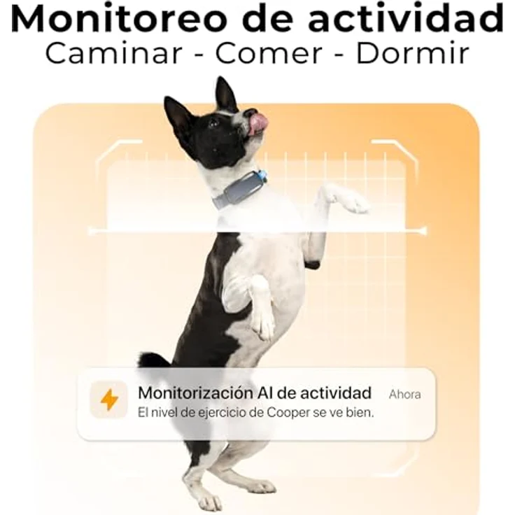 Invoxia Minitailz, GPS- und Gesundheitstracker für Hunde, Fluchtwarnungen, Atemscan, Echtzeit Ortung, USB wiederaufladbar, virtuelle Zone und Zaun – Bild 5