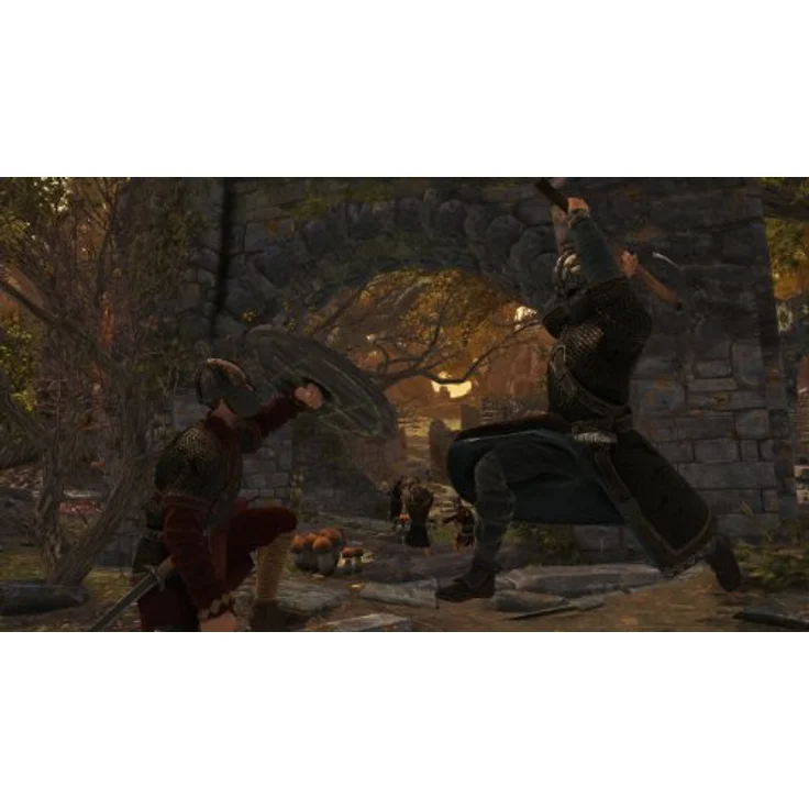 War of the Vikings (PC) – Bild 2