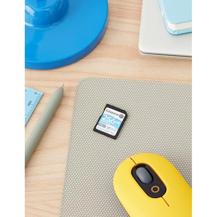 Kingston SDG3-256GB SD Speicherkarte (256GB SDXC Canvas Go Plus 170R C10 UHS-I U3 V30 ) – Bild 2