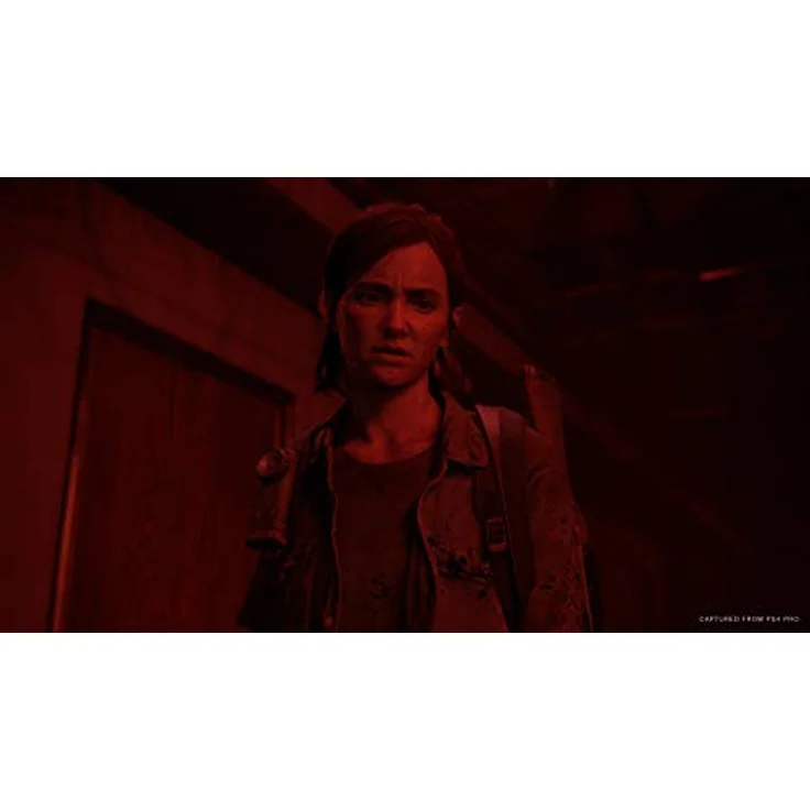 The Last of Us Part II – Bild 2
